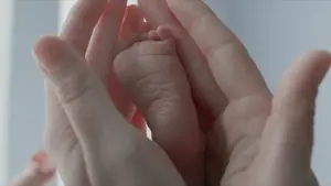 Задник к фильму "Древо жизни" #266183