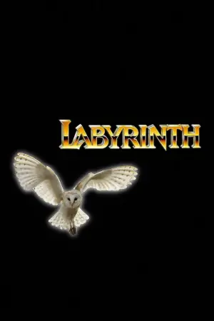 Постер к фильму "Лабиринт" #659172