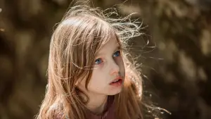 Задник к фильму "Волшебник Изумрудного города. Дорога из жёлтого кирпича" #536051