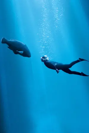 Постер к фильму "Друг в океане" #402003