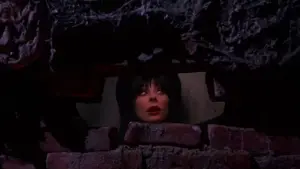 Задник к фильму "Эльвира - Повелительница Тьмы 2. Проклятые холмы Эльвиры" #475208