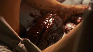 Задник к фильму "Чужой: Ромул" #545877