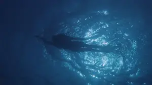 Задник к фильму "Челюсти" #521041