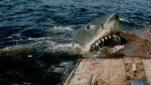 Задник к фильму "Челюсти" #521045