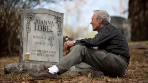 Задник к фильму "Кручёный мяч" #249519