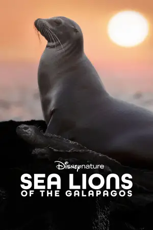 Постер к фильму "Sea Lions of the Galapagos" #719373