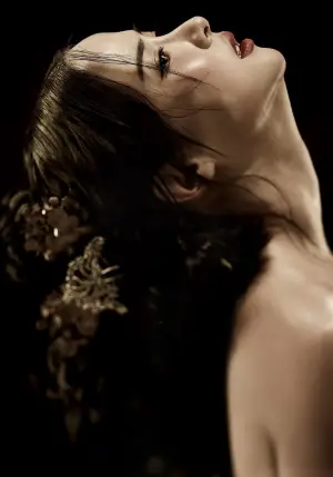 Постер к фильму "Наложница" #745576