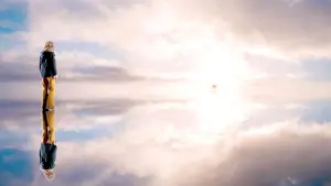 Задник к фильму "Милые кости" #241679