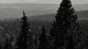 Задник к фильму "" #352779