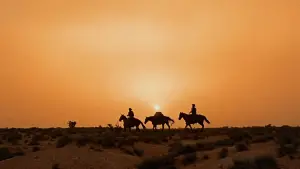 Задник к фильму "Искатели" #713492