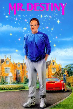 Постер к фильму "Мистер Судьба" #719449