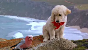 Задник к фильму "" #646957