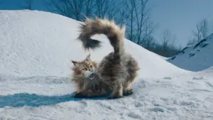 Задник к фильму "" #429768