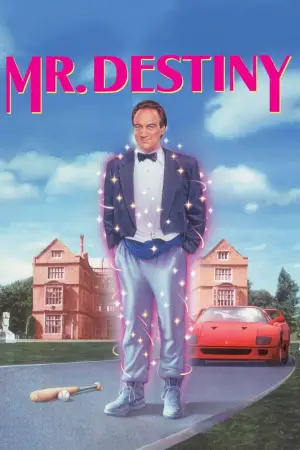 Постер к фильму "Мистер Судьба" #719459