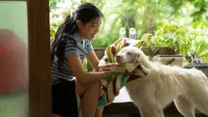 Задник к фильму "โกฮัง..หัวใจโกโฮม" #796479