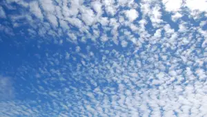 Задник к фильму "" #743202