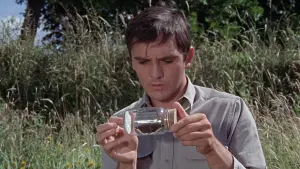 Задник к фильму "Коллекционер" #427760