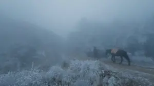 Задник к фильму "" #465015