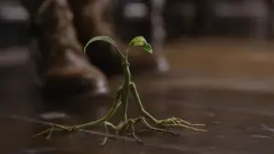 Задник к фильму "Фантастические твари: Преступления Грин-де-Вальда" #473158