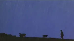 Задник к фильму "Бэйб: Четвероногий малыш" #719873