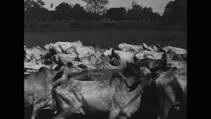 Задник к фильму "" #722386