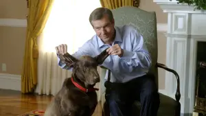 Задник к фильму "Американская мечта" #462910