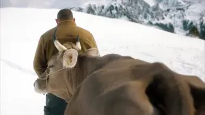 Задник к фильму "" #420414