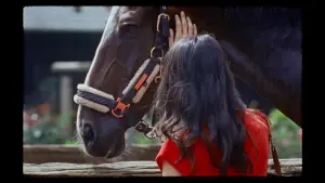 Задник к фильму "" #402280