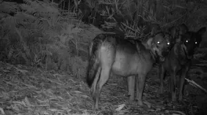 Задник к фильму "" #409948