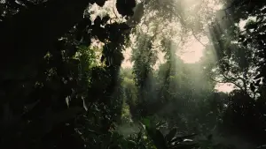 Задник к фильму "Голодные игры: И вспыхнет пламя" #625086