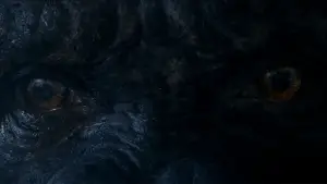 Задник к фильму "Конг: Остров черепа" #591729