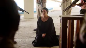 Задник к фильму "Перелётные птицы" #469400