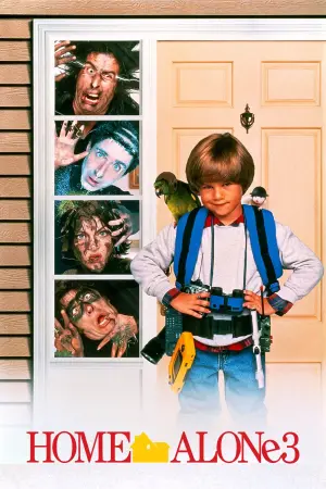 Постер к фильму "Один дома 3" #41649