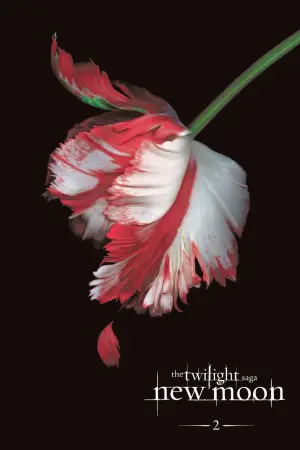 Постер к фильму "Сумерки. Сага: Новолуние" #519876