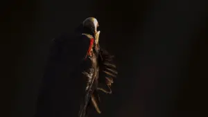 Задник к фильму "" #534627