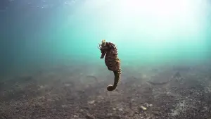 Задник к фильму "" #483138