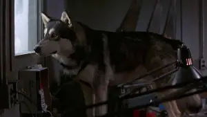 Задник к фильму "Нечто" #599851