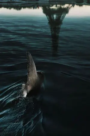 Постер к фильму "" #490480