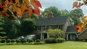 Задник к фильму "Жених напрокат" #294708