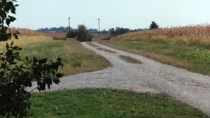 Задник к фильму "Мосты округа Мэдисон" #710408