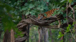 Задник к фильму "" #442912