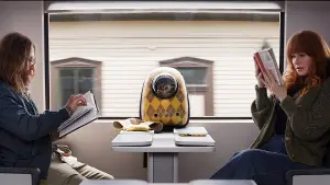 Задник к фильму "Аргайл: Супершпион" #170849