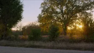 Задник к фильму "Бенджи" #404581