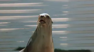 Задник к фильму "" #388144