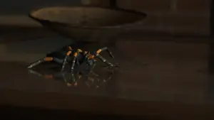 Задник к фильму "Мы" #656848