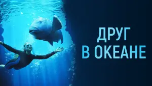 Задник к фильму "Друг в океане" #401991