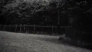 Задник к фильму "Фотоувеличение" #906602
