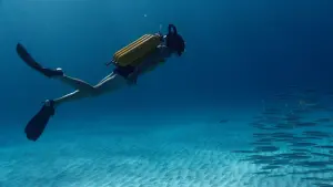 Задник к фильму "Одиссея" #266910