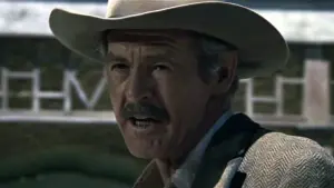 Задник к фильму "Дикая банда" #204956