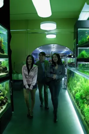 Постер к фильму "Холодная рыба" #419182